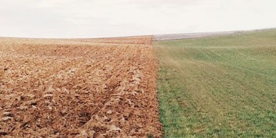 #68 Comparing Yourself to Others | Response to Wake Up Your Why – “The Comparison Trap”